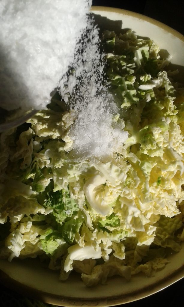 cabbagesaltsauerkraut Stop Food Waste