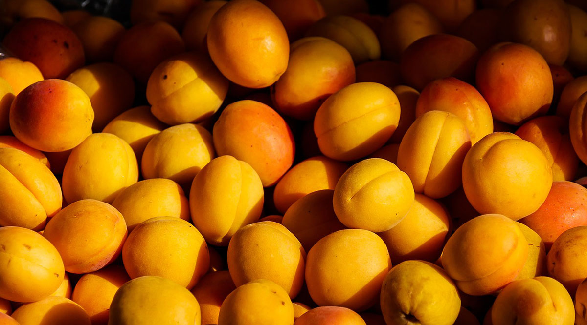 Apricots Stop Food Waste