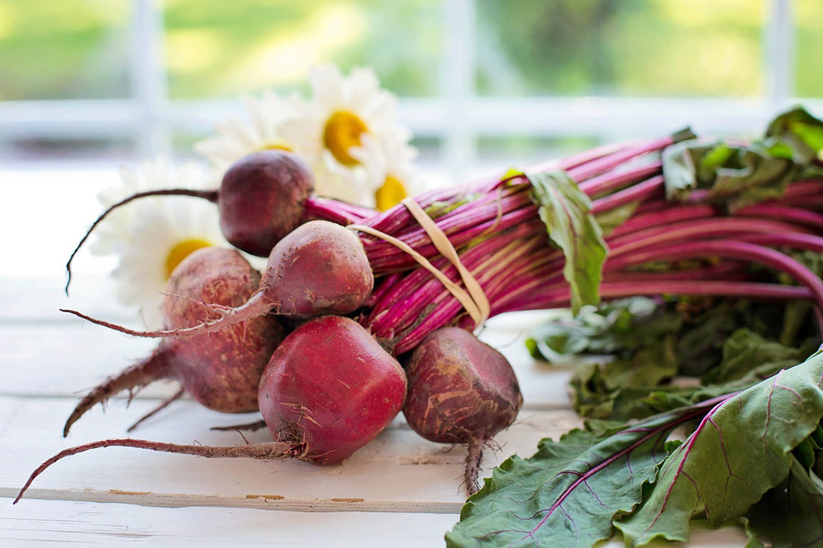Beetroot Stop Food Waste Beetroot Stop Food Waste