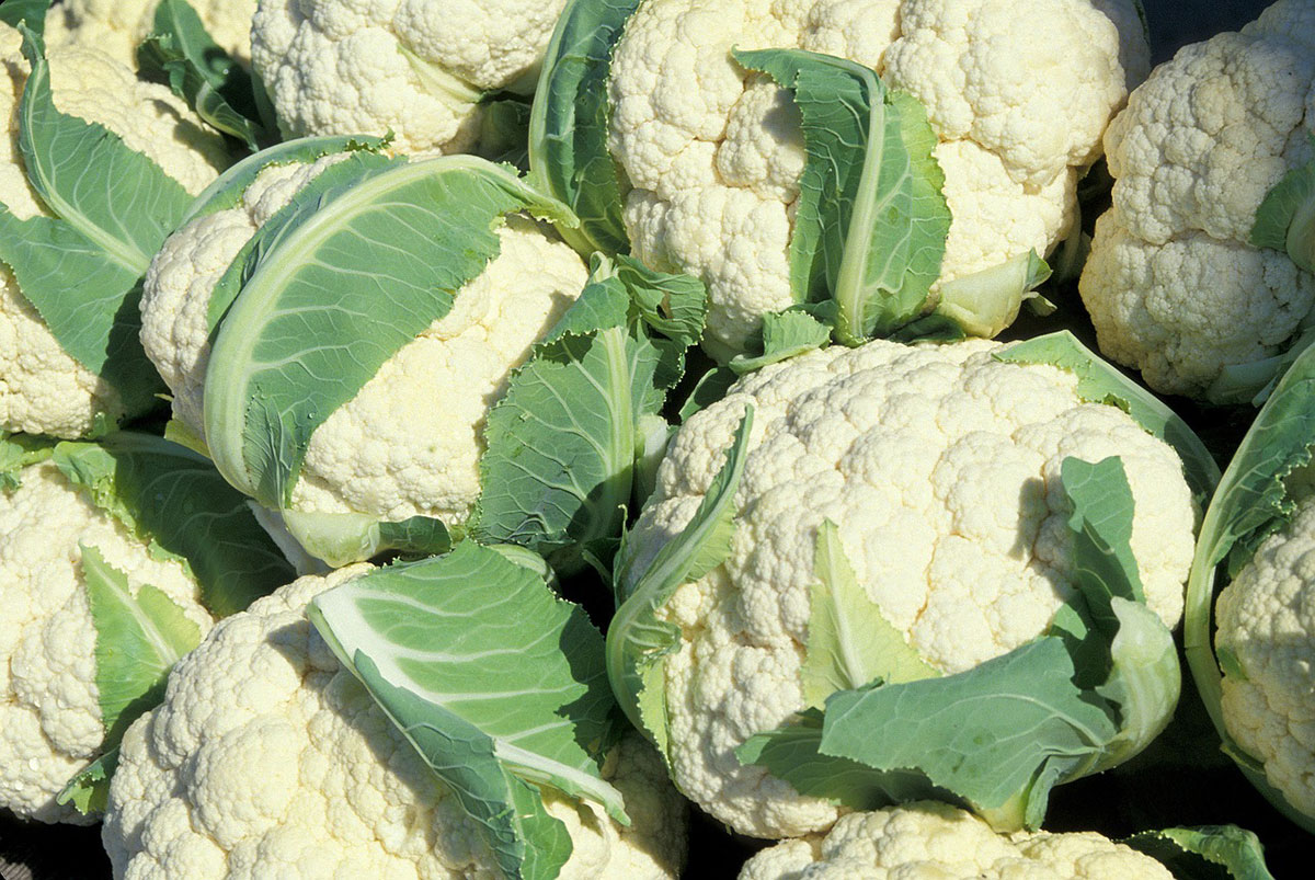 Cauliflower Stop Food Waste