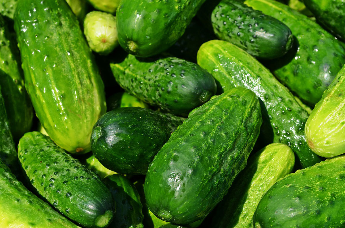 Cucumbers Stop Food Waste