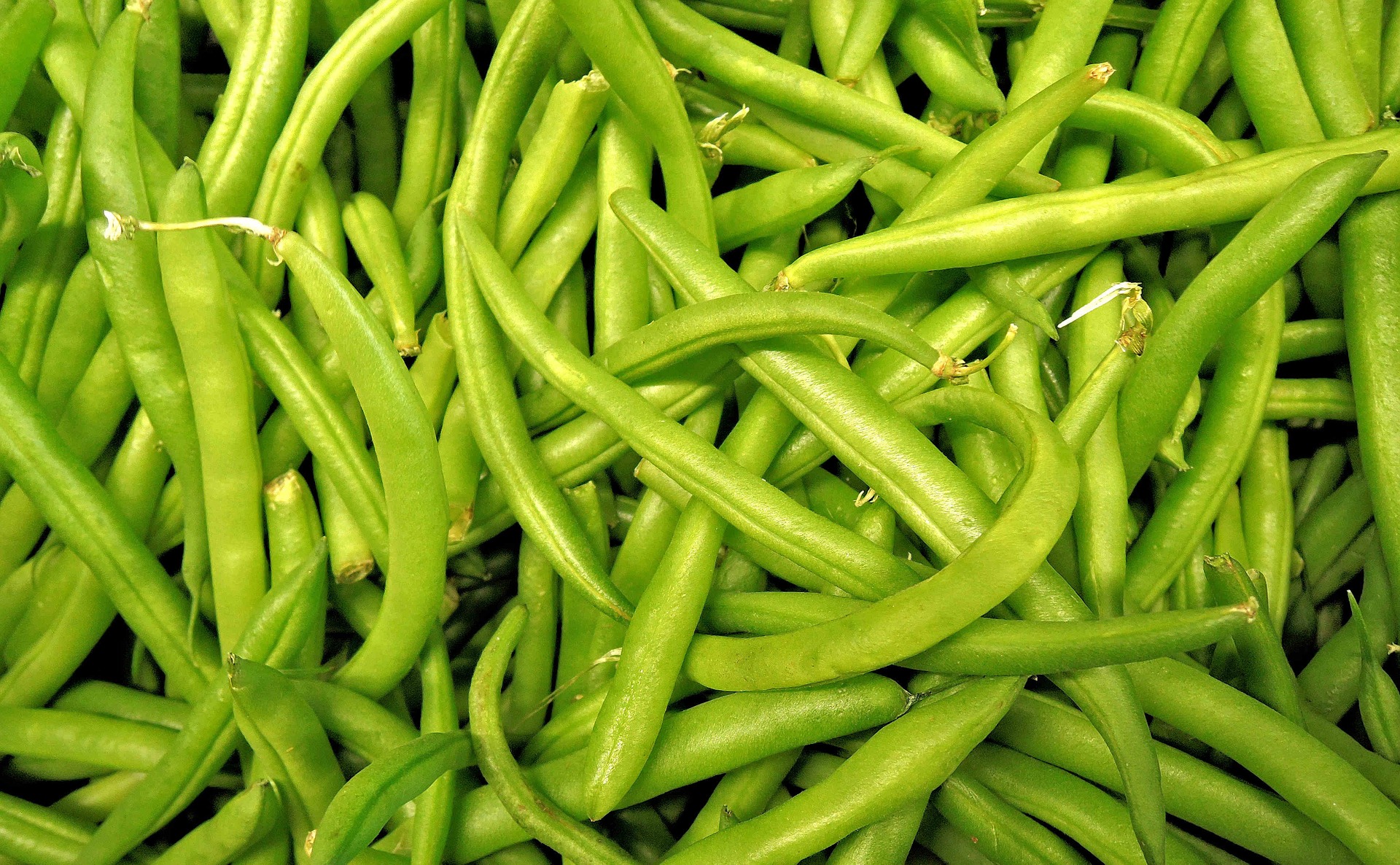 green-beans-french-beans-stop-food-waste