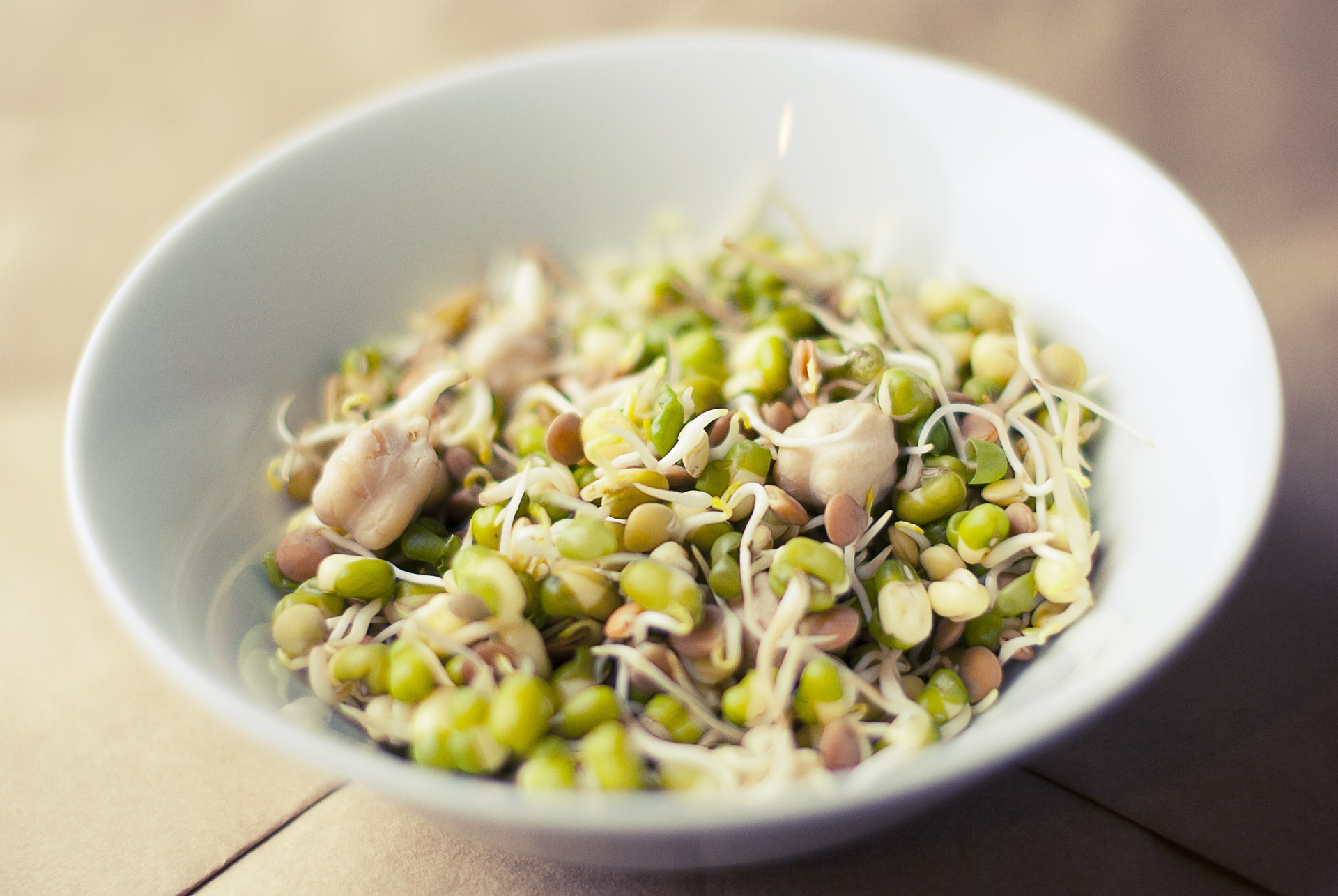 How to Grow Your Own Sprouts Stop Food Waste
